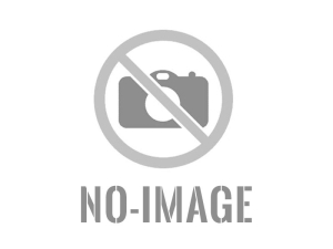 Kia Rio 1.6  / Automatik